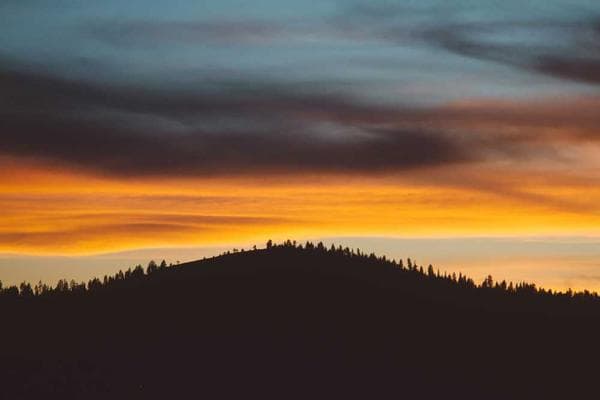 Book Review: The Long Road to Liberation (Hans&nbsp;Beukes)