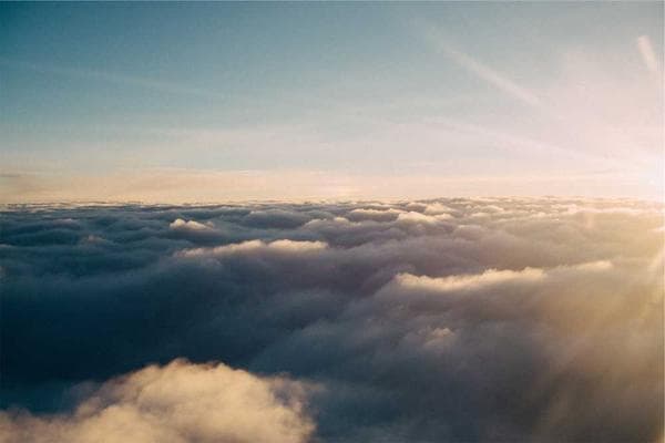 Fog nets solution for Cape Town water&nbsp;crisis?