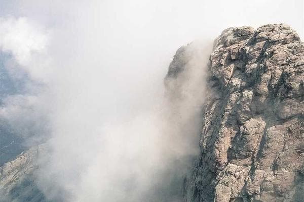Has the environmental movement&nbsp;failed?